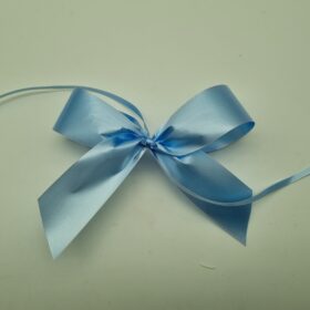 Blue Giftwrapping
