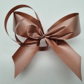 Bronze Giftwrapping