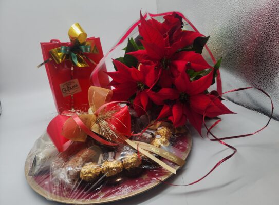 One of our 2025 xmas gift selection.